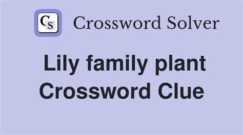 lily family plants crossword|bush lily crossword clue.